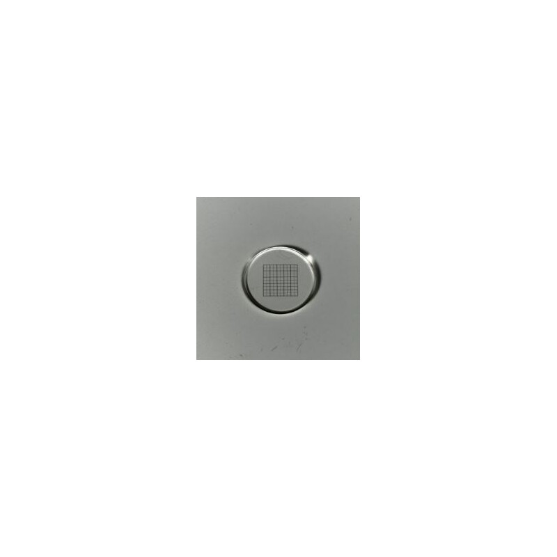 ZEISS Micromètre à réseau 10x10/5:10, d=21 mm