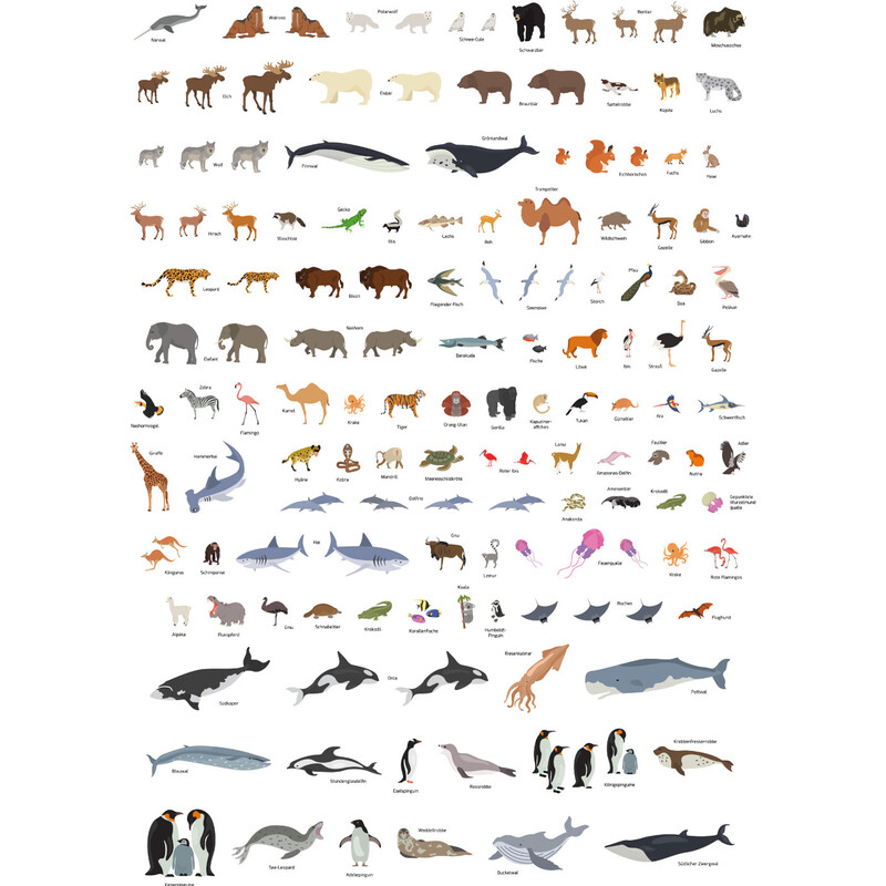 Carte pour enfants GeoMetro Le monde des animaux (84 x 60 cm)