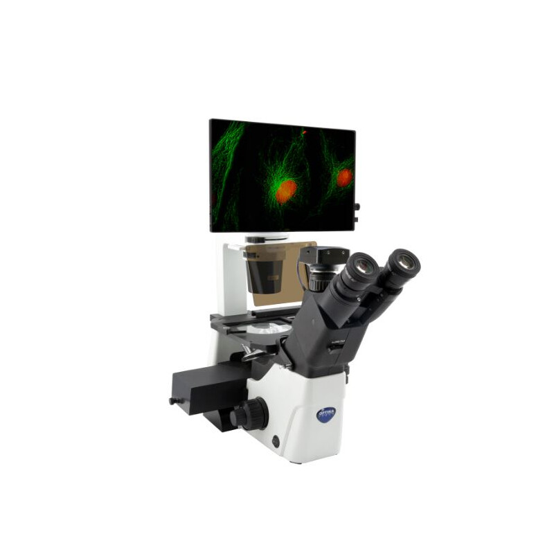 Inverses Mikroskop IM-300LD4D Digital Inverted LED fluorescence microscope, 400x, IOS LWD PLAN F, 4 empty filterset slots