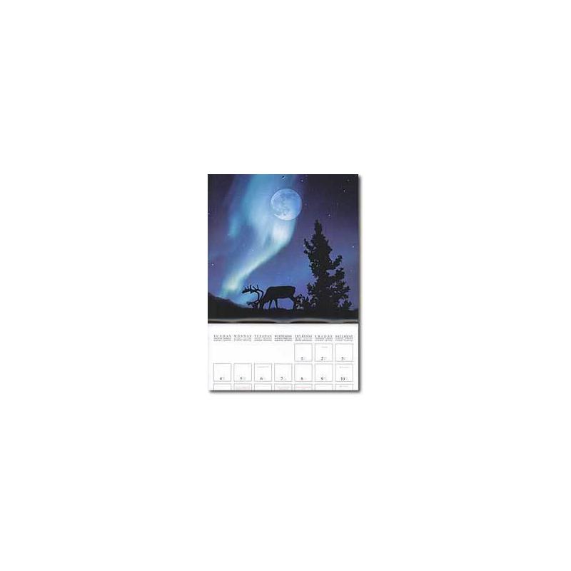Tushita Verlag Kalender Moon Power