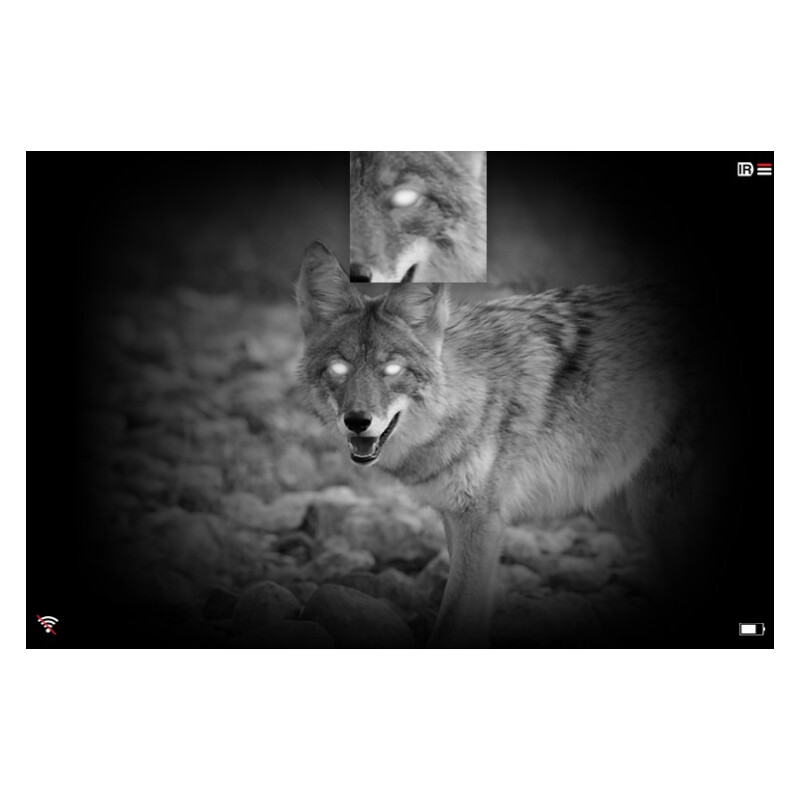 Vision nocturne Pard NV009 850nm