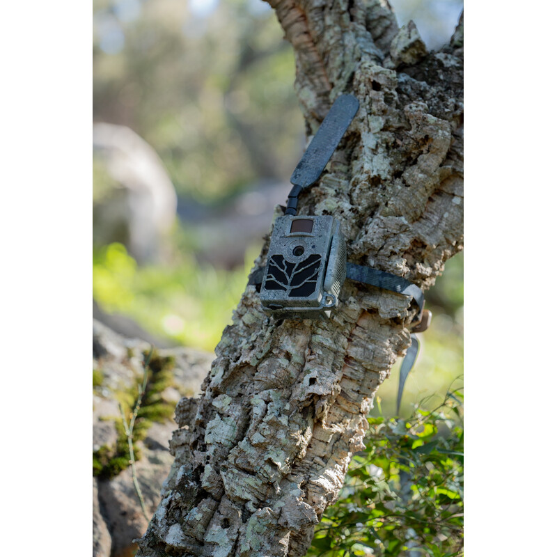 ZEISS Wildkamera Secacam 5 100° Wide angle