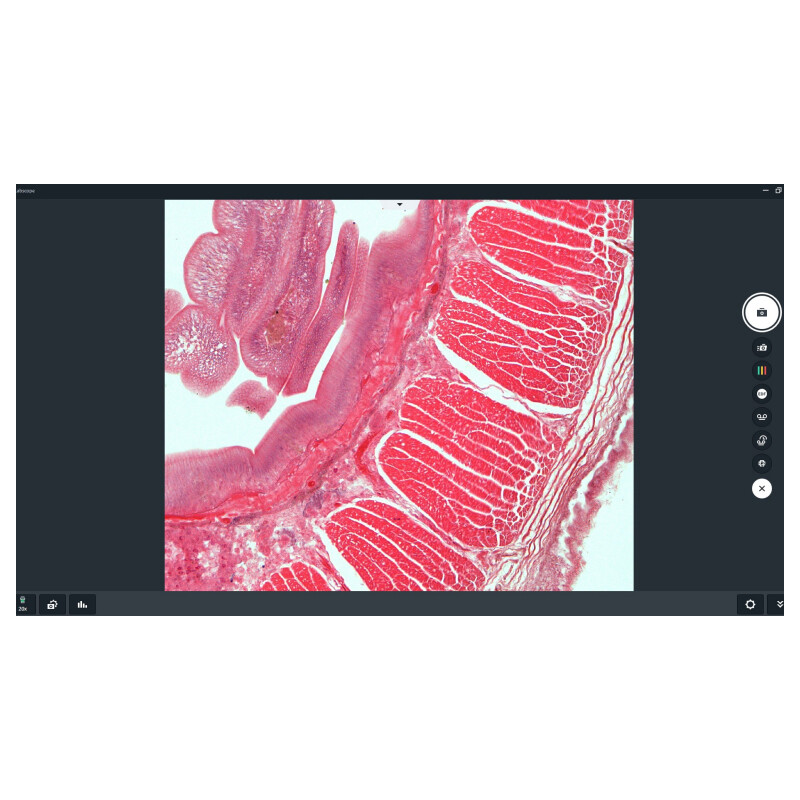 ZEISS Logiciels Module Labscope Multi Channel DLic