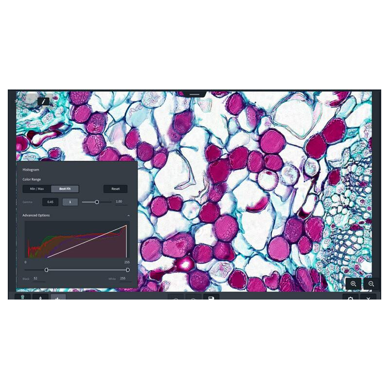 ZEISS Logiciels Module Labscope Multi Channel DLic