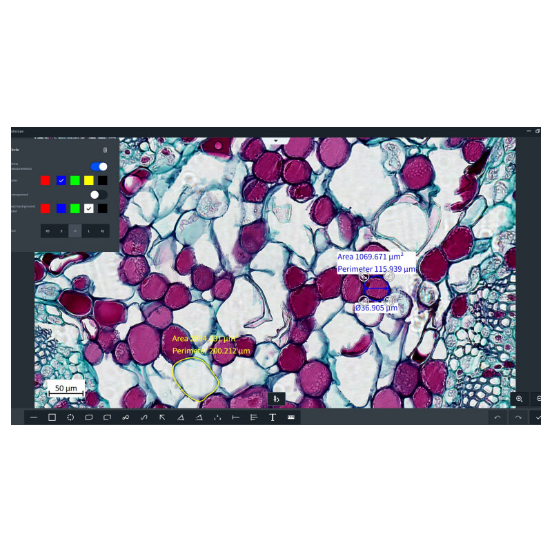 ZEISS Logiciels Module Labscope Multi Channel DLic