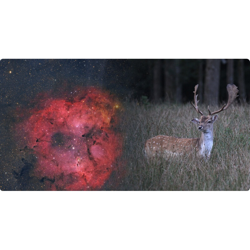 ToupTek Apochromatischer Refraktor HOPE D60 60/280 Tilter