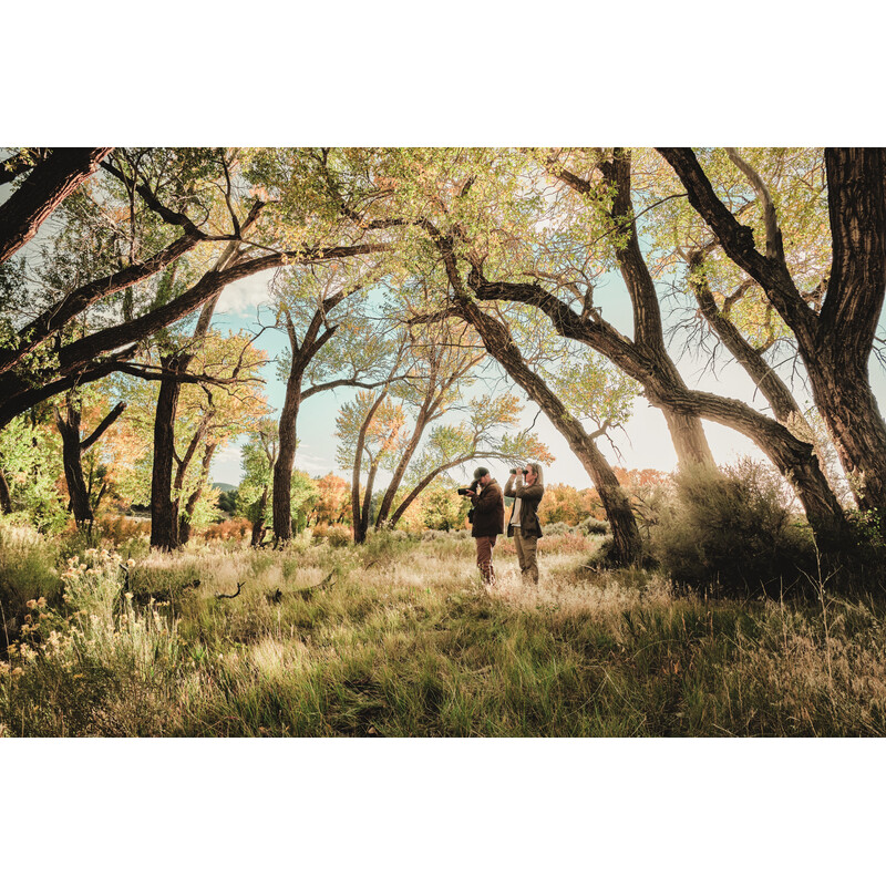 Swarovski Spektiv AT Balance 18-45x65