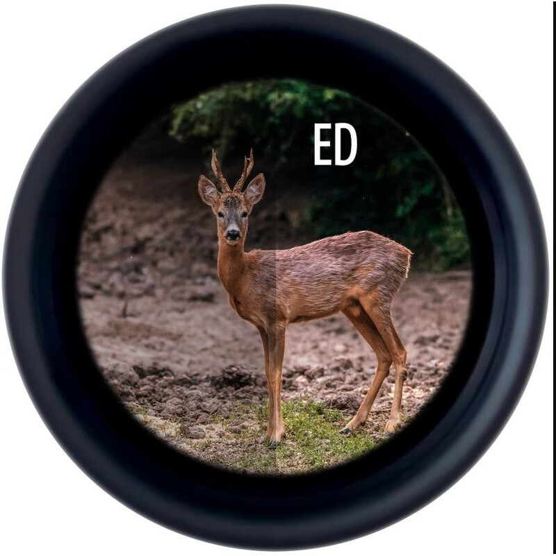 Jumelles Minox X-Tour 10x34