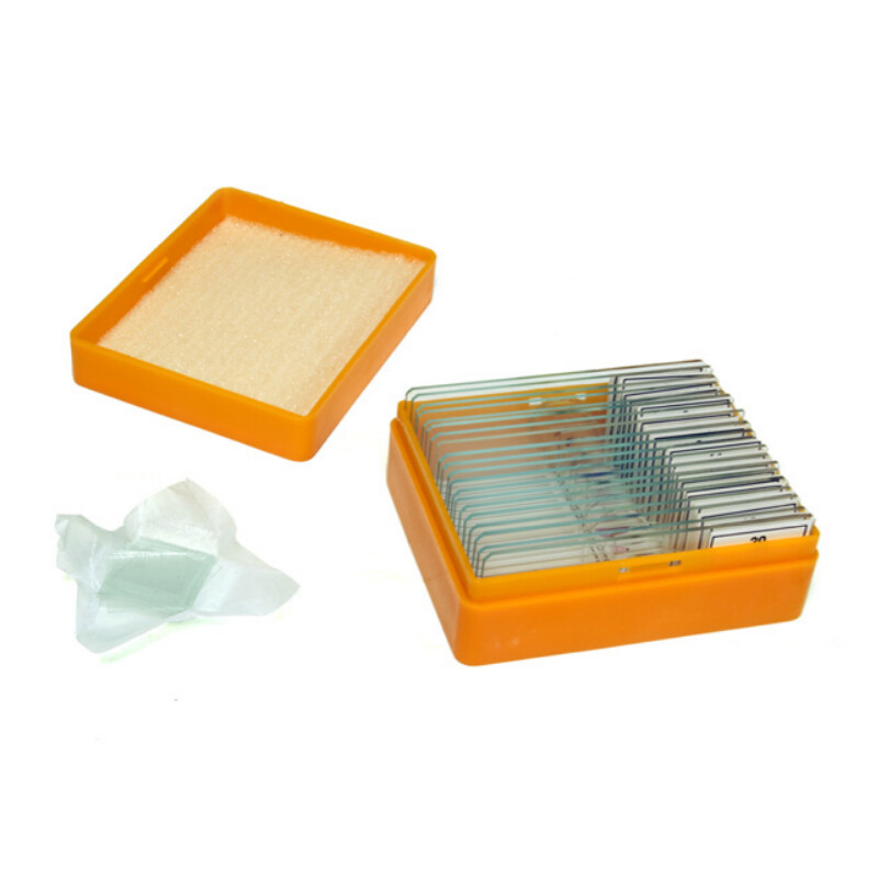 Levenhuk Lames préparées N20 NG