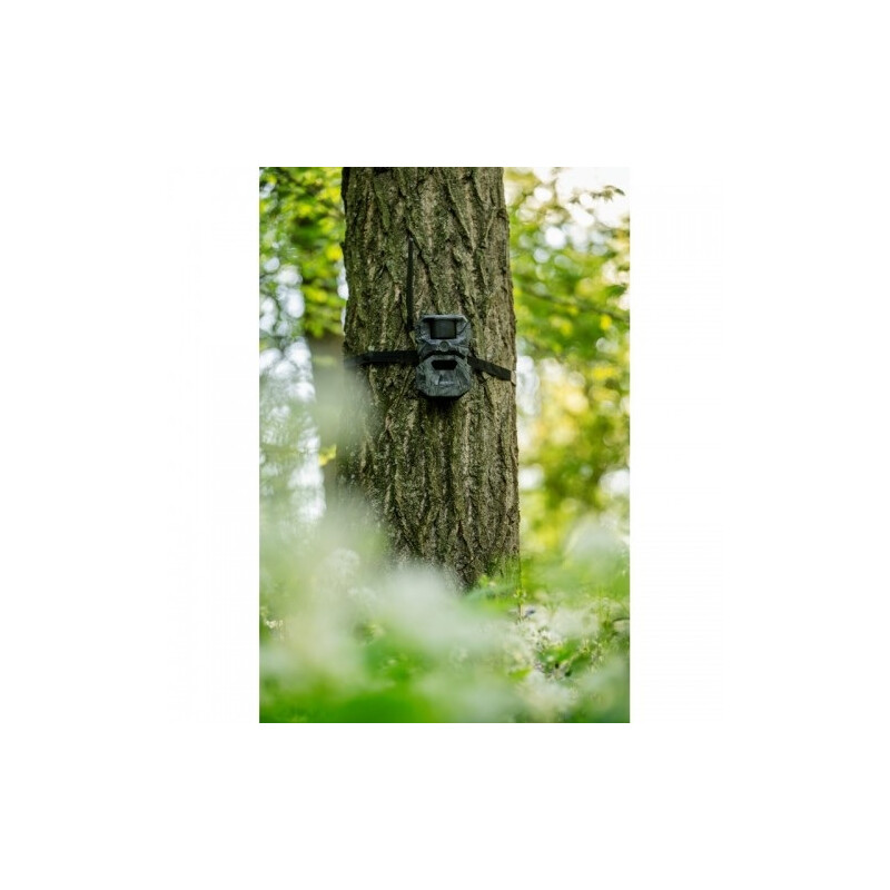 Appareil-photo spécial gibier HIKMICRO T16