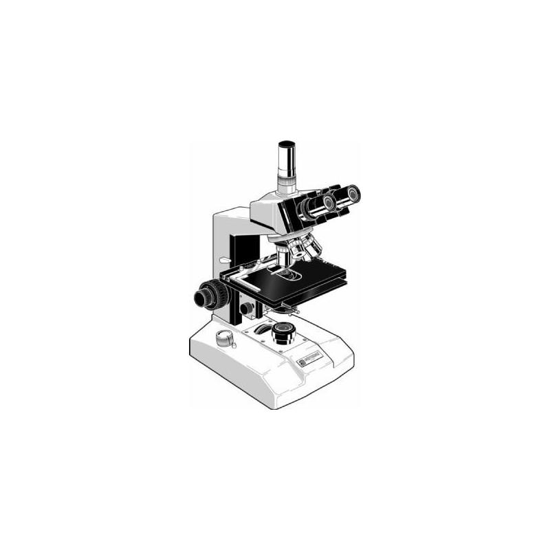 Microscope Euromex FE.2035