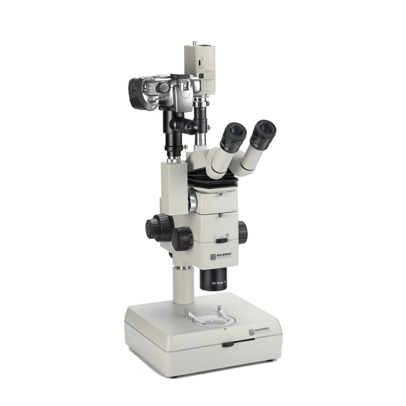 Microscope stéréo modulaire Euromex Hell champ - fond noir trépied