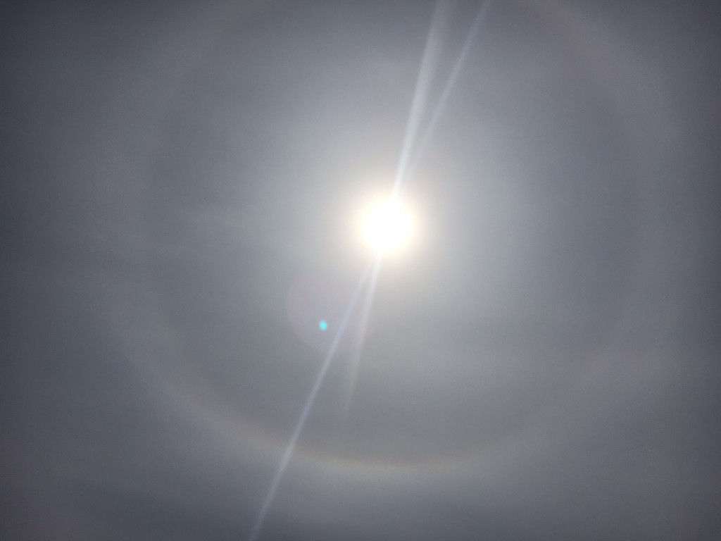 Über die Sonne zogen dünne Wolken. Dafür zeigte sich dieses schöne Sonnenhalo.