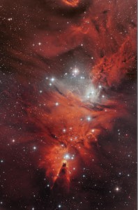 NGC 2264 und der Konusnebel